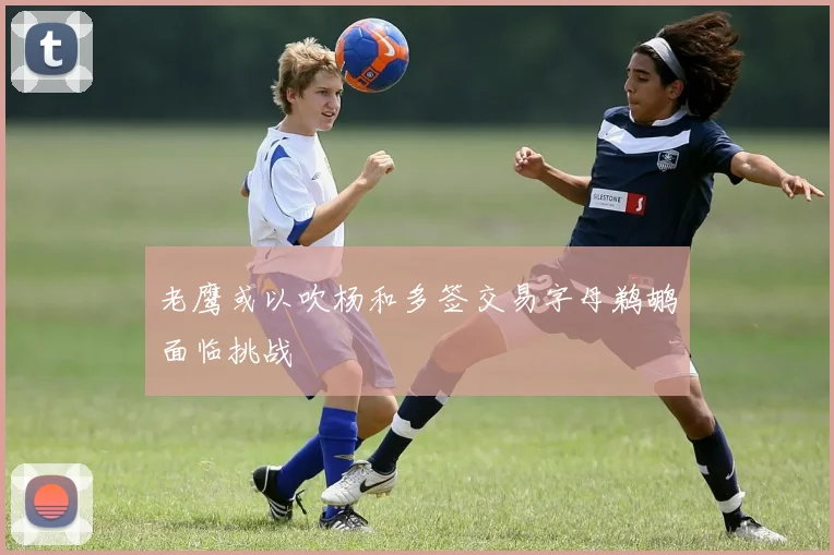 老鹰或以吹杨和多签交易字母鹈鹕面临挑战