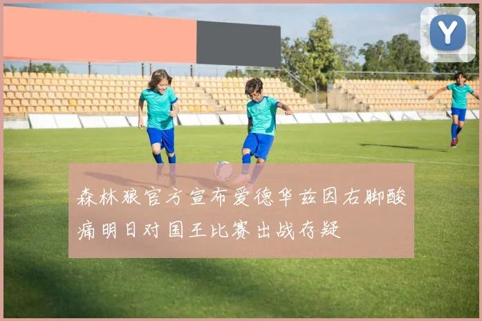 森林狼官方宣布爱德华兹因右脚酸痛明日对国王比赛出战存疑