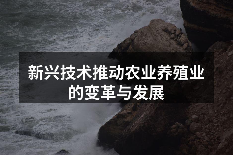智能化养殖设备提升生产效率